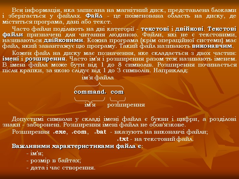 Вся інформація, яка записана на магнітний диск, представлена блоками і зберігається у файлах. Файл